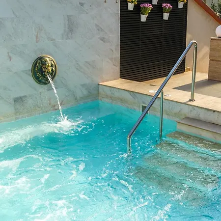 Spartak 4* 桑丹斯基